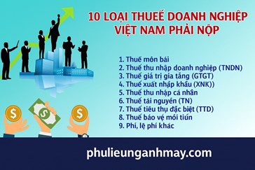 Các Loại Thuế Doanh Nghiệp Phải Đóng Năm 2025 Tại Việt Nam